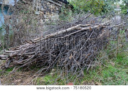 brushwood