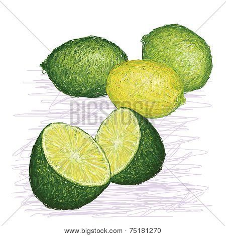 Lime Citrus