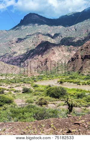 Quebrada De Las Conchas, Salta, Northern Argentina