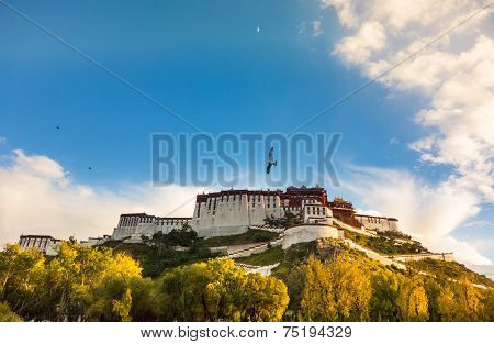 Potala Palace