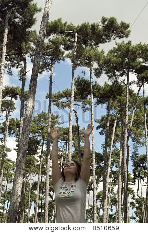 Hands up