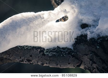 Melting Snow