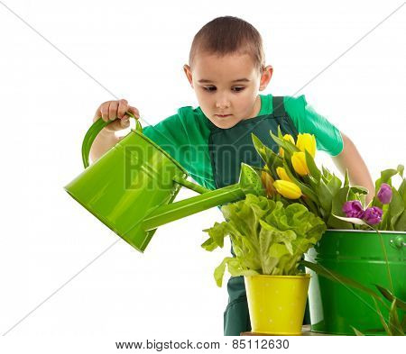 Little gardener boy, isolated on white