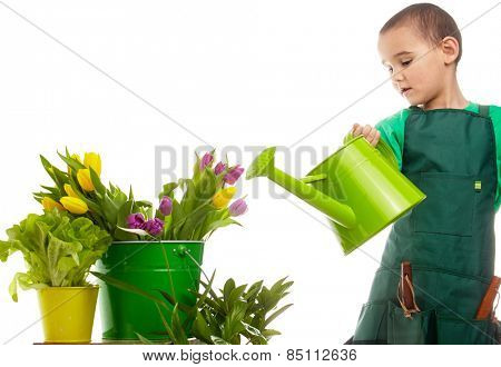 Little gardener boy, isolated on white
