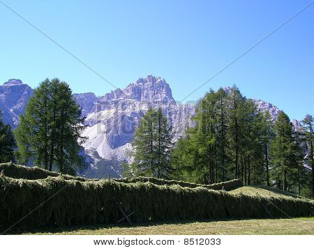 Panorama della Val Pusteria, Dolomiti, Italia