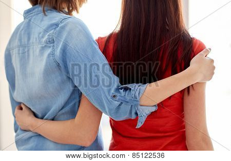 people, homosexuality, same-sex marriage, gay and love concept - close up of happy lesbian couple hugging at home