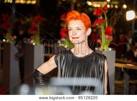 BERLIN, GERMANY - FEBRUARY 13: Sandy Powell attends the 'Cinderella' premiere during the 65th Berlinale International Film Festival at Berlinale Palace on February 13, 2015 in Berlin, Germany.