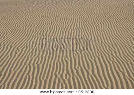 Linee nella sabbia