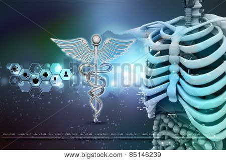 human anatomy and caduceus sign