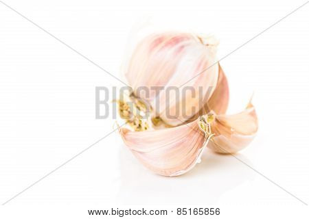 Garlic