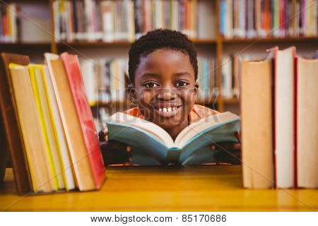 Cute little boy reading book in the library