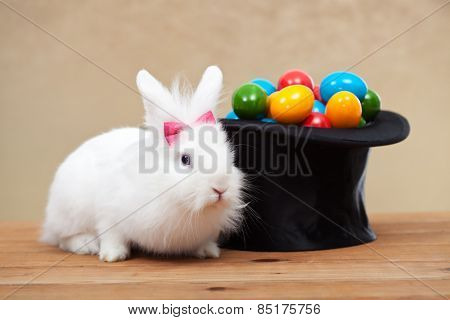 Cute bunny guarding a magician hat full of easter eggs