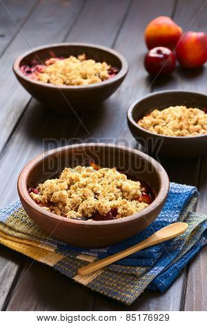 Baked Plum and Nectarine Crumble