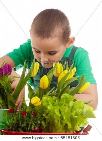 Little gardener boy, isolated on white