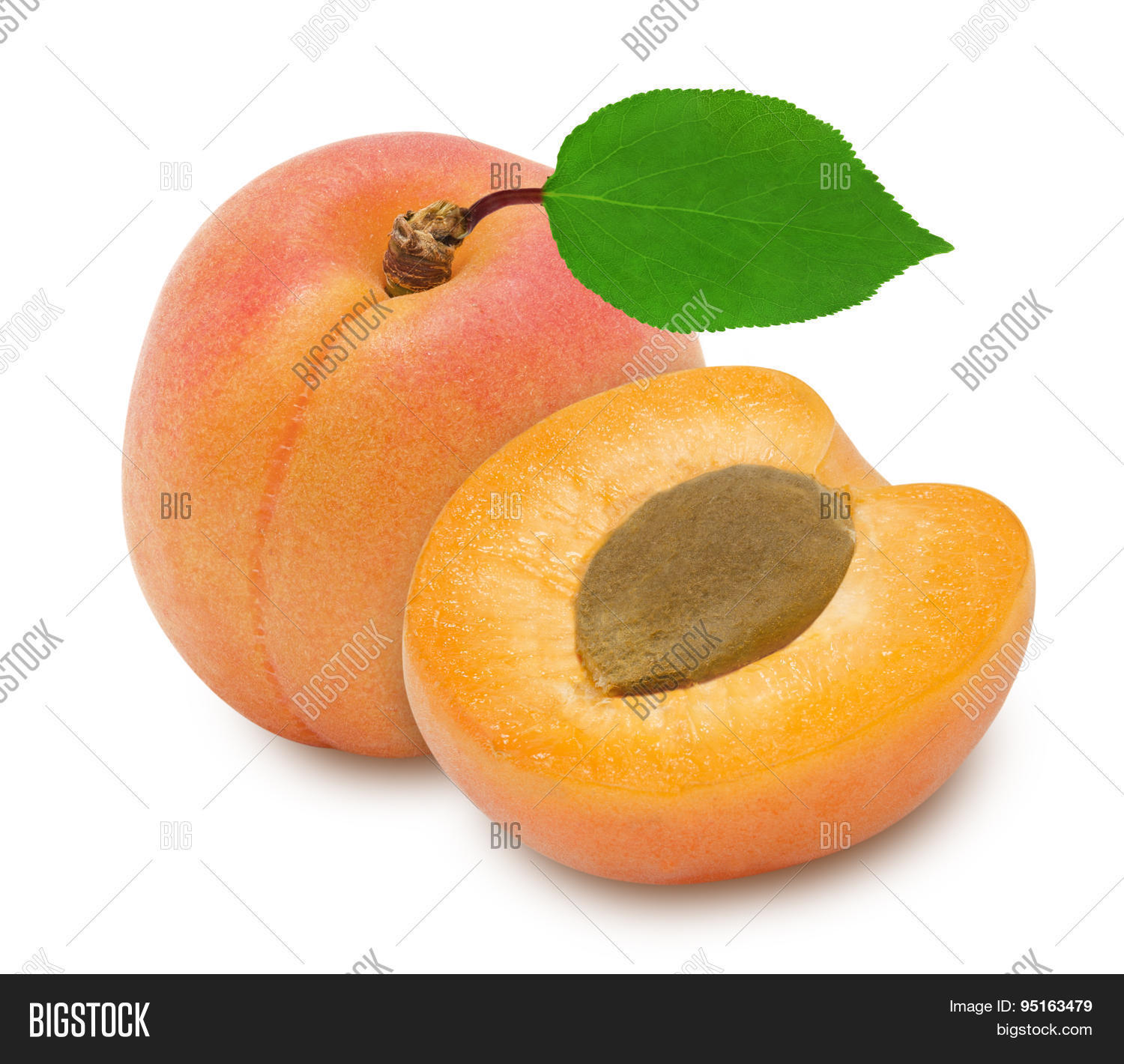 Two Fresh Apricots Image & Photo (Free Trial) Bigstock