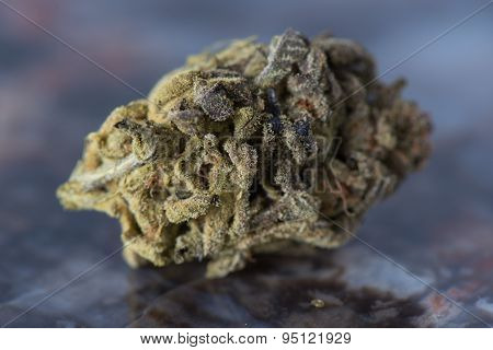 Bordello Medicinal Medical Marijuana