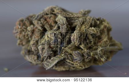 Close up of Bordello Medical Marijuana
