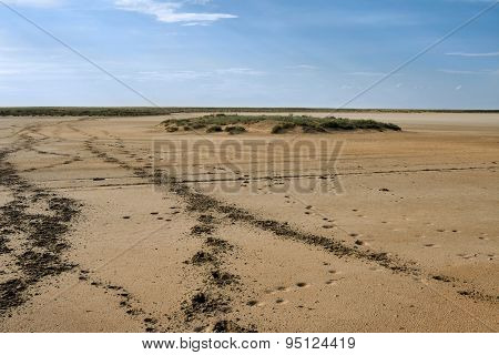 Footprints In The Sand.
