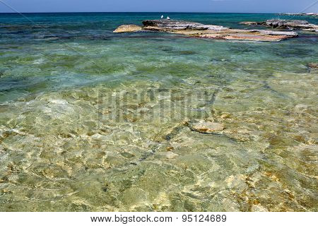 Caspian Sea In The Summer.