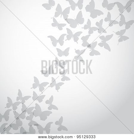 Abstract Gray Butterfly Background On White Background. Vector