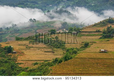Rice fields on terraced in rainny season at Mu Cang Chai, Yen Bai, Vietnam.