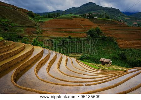Rice fields on terraced in rainny season at Mu Cang Chai, Yen Bai, Vietnam.