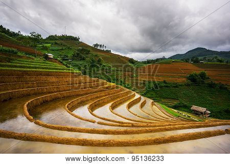 Rice fields on terraced in rainny season at Mu Cang Chai, Yen Bai, Vietnam.