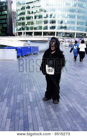 รอบชิงชนะเลิศที่พวกอันธพาลดี 2010 รันในลอนดอน 26 2553 กันยายน
