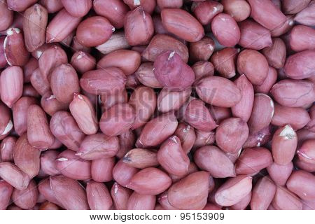 Arachis Background