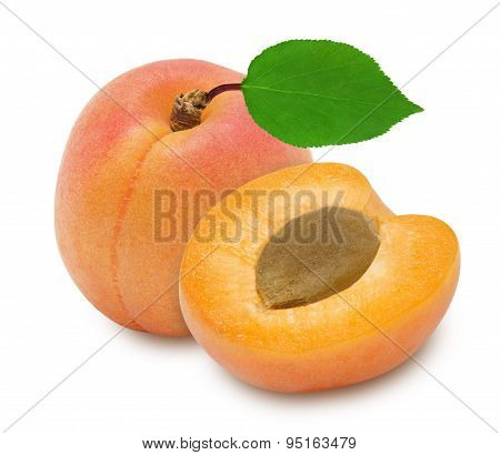 Two fresh apricots and leaves