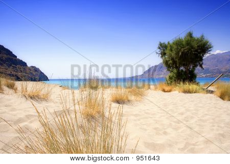Samotny Sandy Beach