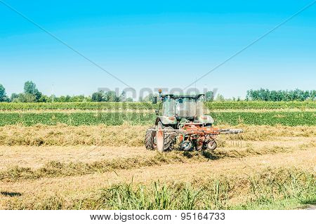 Agricultural Labor