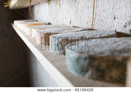 Goat Cheese Maturing In Basement