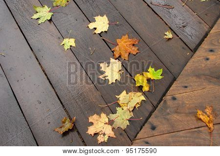Autumn Leaves On Wooden Floor
