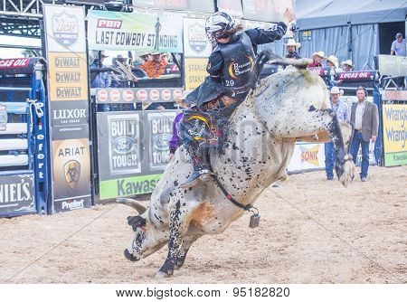 Last Cowboy Standing