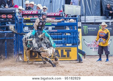 Last Cowboy Standing