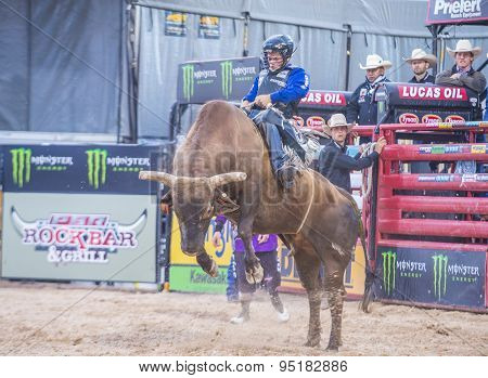 Last Cowboy Standing