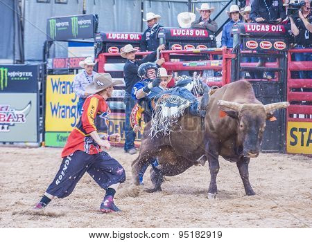 Last Cowboy Standing