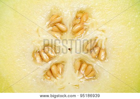 background of green melon surface