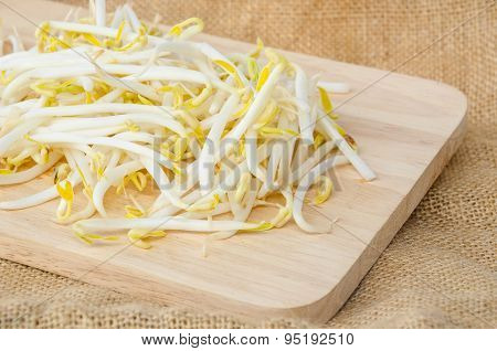 Mung Beans Or Bean Sprouts