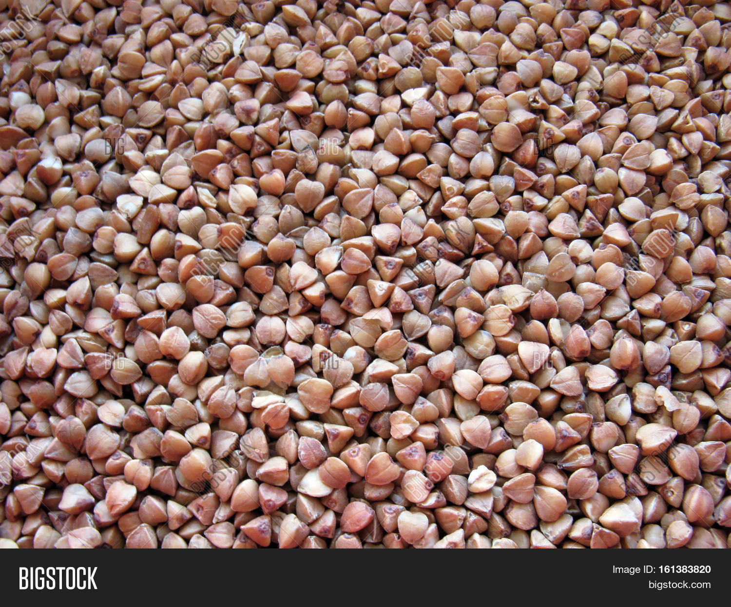 Buckwheat Groats. Image & Photo (Free Trial) Bigstock