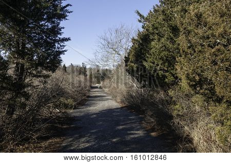 Dirt path near Mattapoisett Neck Road boat ramp