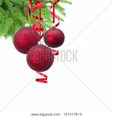 Red christmas ballsand evergreen fir tree isolated on white background