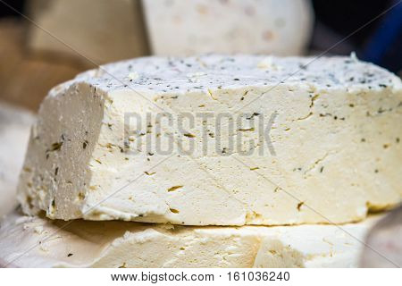 pieces of delicious white cheese with spices