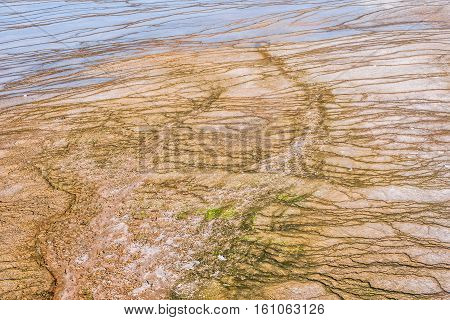 Abstract patterns and designs in Yellowstone National Park make a unique background