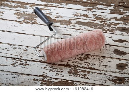 Roller  Paint