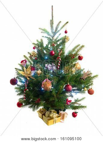 christmas evergreen natural fresh tree with holiday decorations and lights over white backgroundbackground