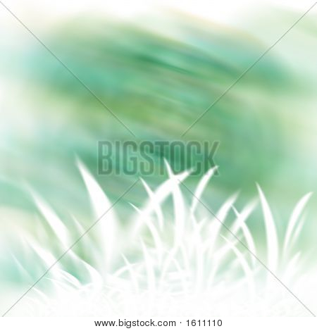Herbe