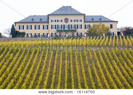 Pěší hrad s vinicí, Hesensko, Německo