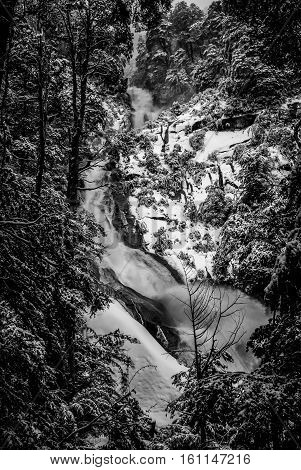 Waterfall And Snow
